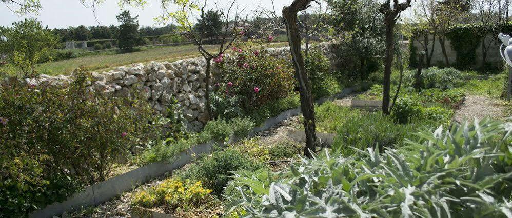 Masseria La Meridiana Altamura Bagian luar foto